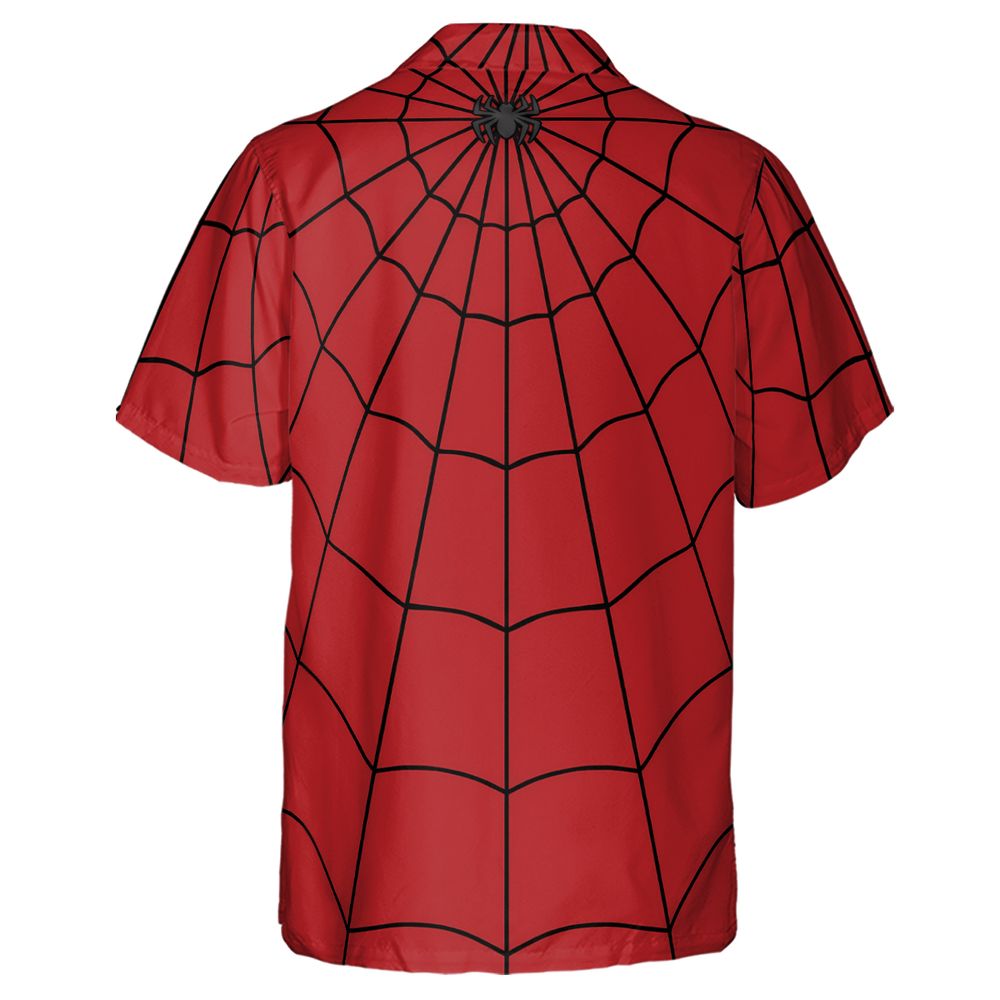 Spider Web -  - 3