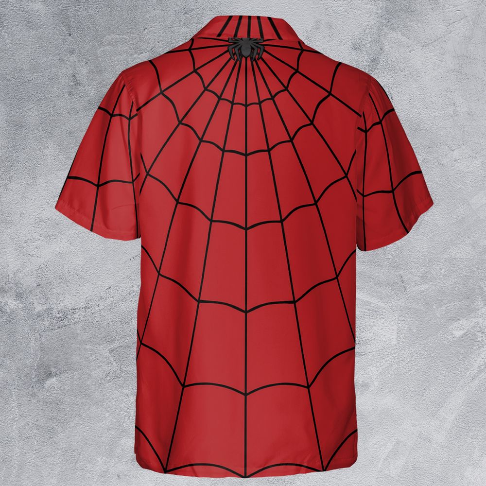 Spider Web -  - 3