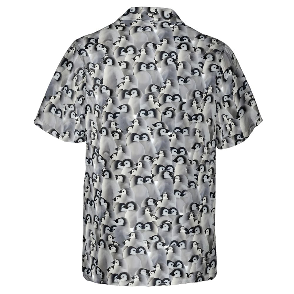 Baby Emperor penguins -  - 3