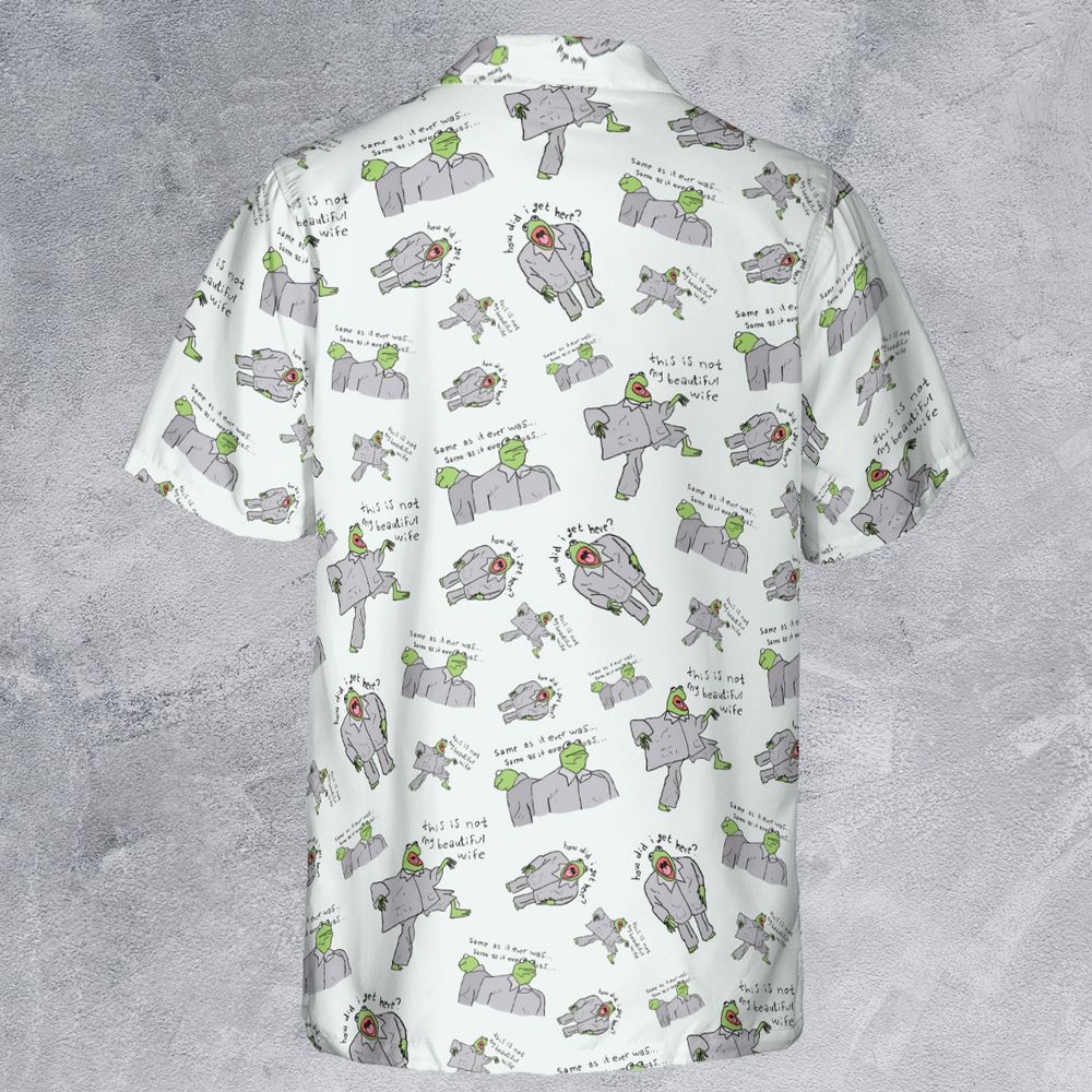 Frog Got No Clue Where He Is -  - 3