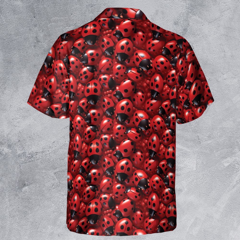 Ladybug -  - 3