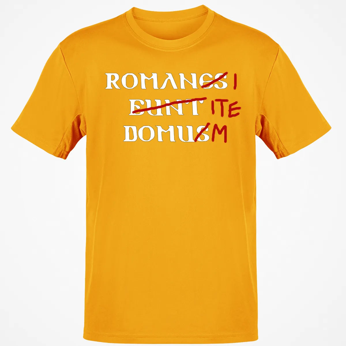 Classic Unisex T-Shirt - ZLR6C21D