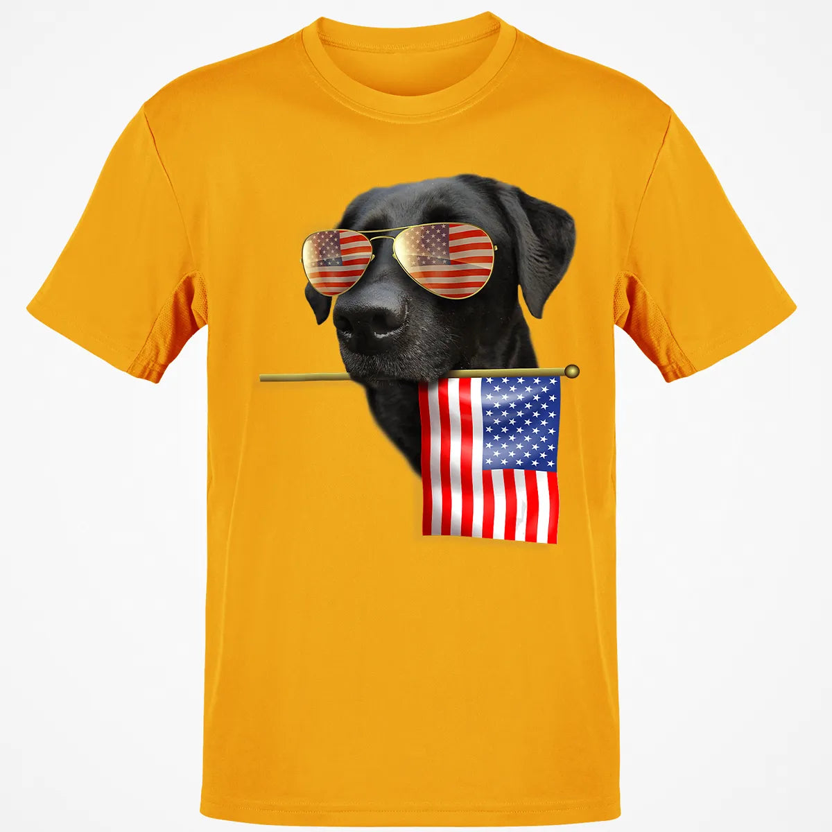 Classic Unisex T-Shirt - Z8V8J6AM