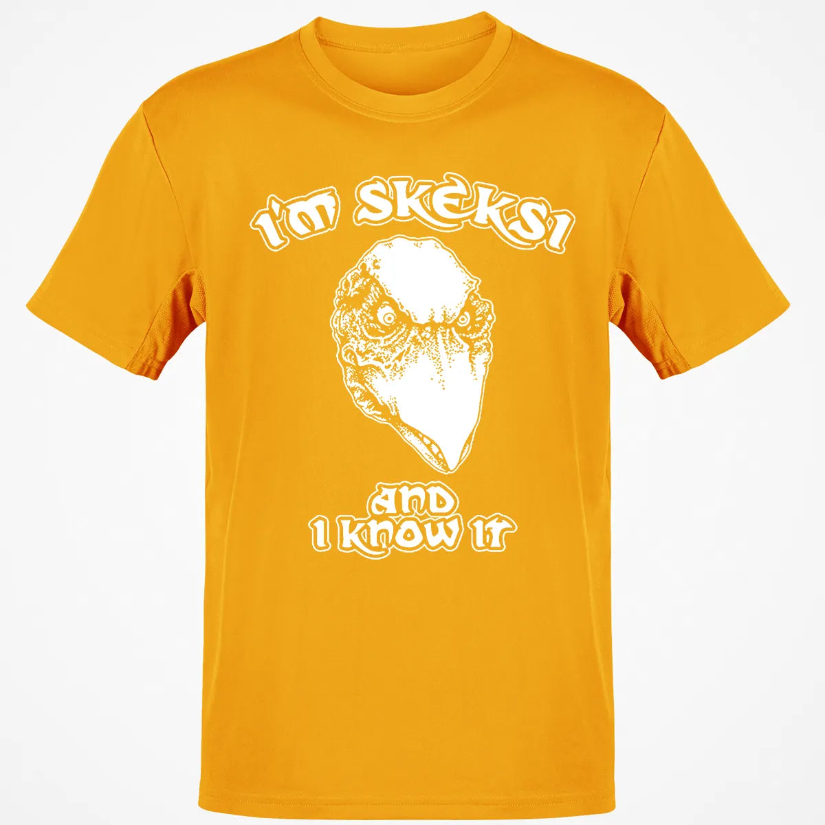 Classic Unisex T-Shirt - 3GAA83AX