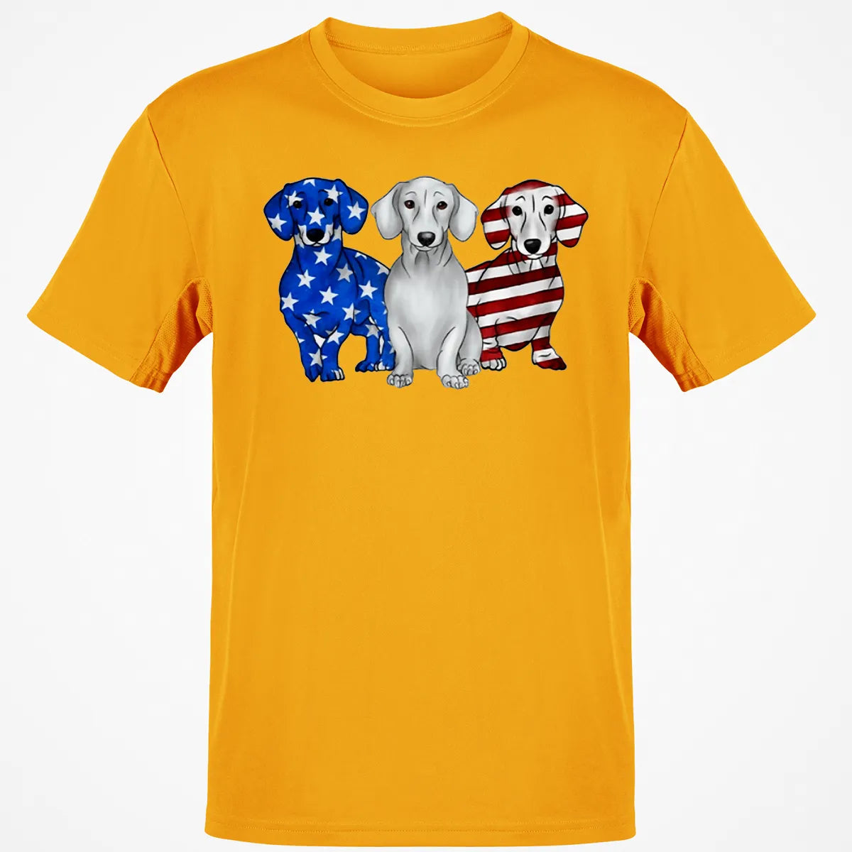Classic Unisex T-Shirt - HTLZZM1J