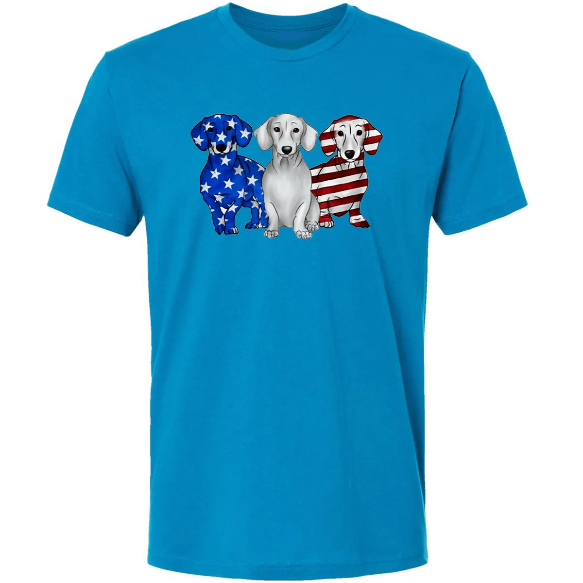 Premium Unisex T-shirt - Q6UWY73T