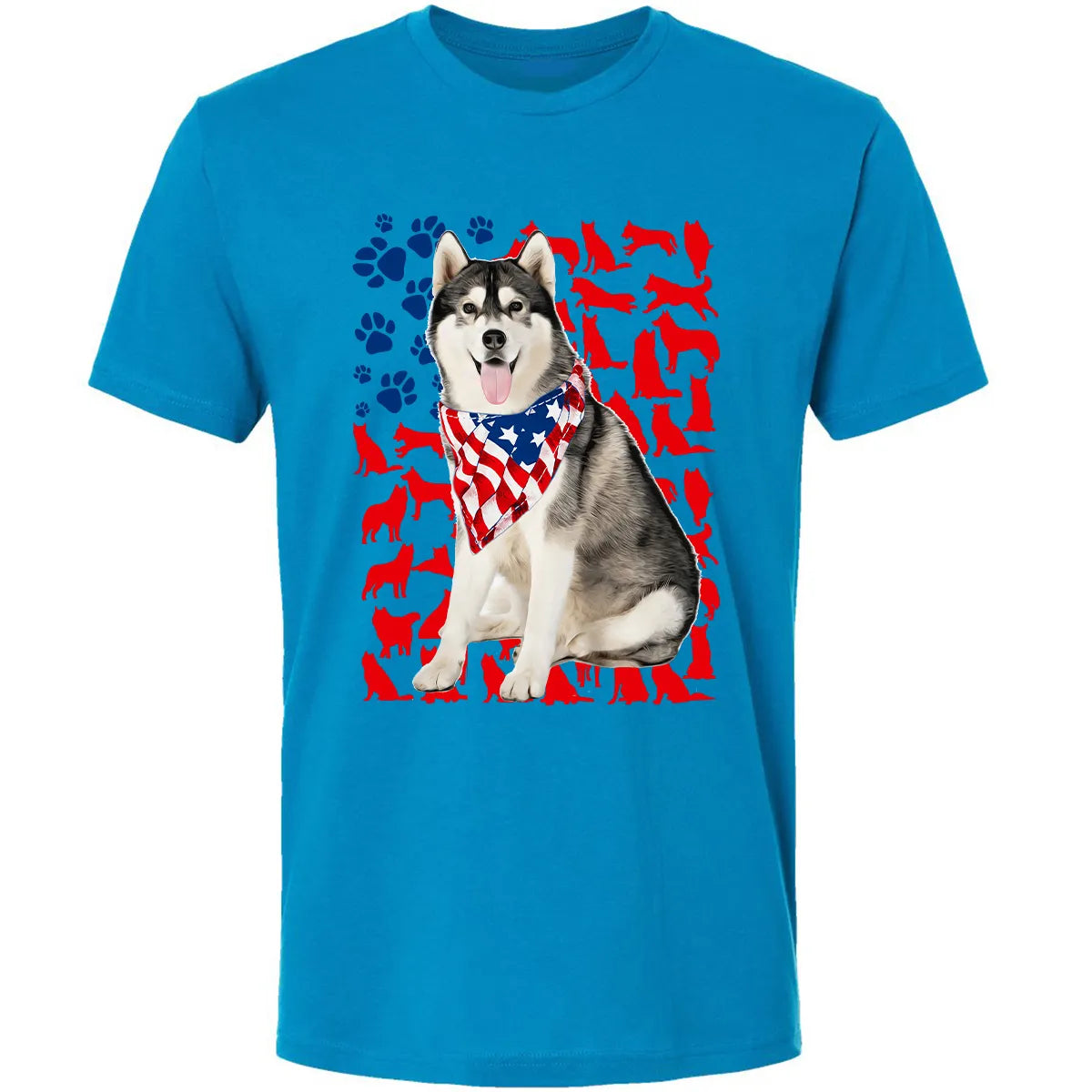 Premium Unisex T-shirt - DWAGXZ5L