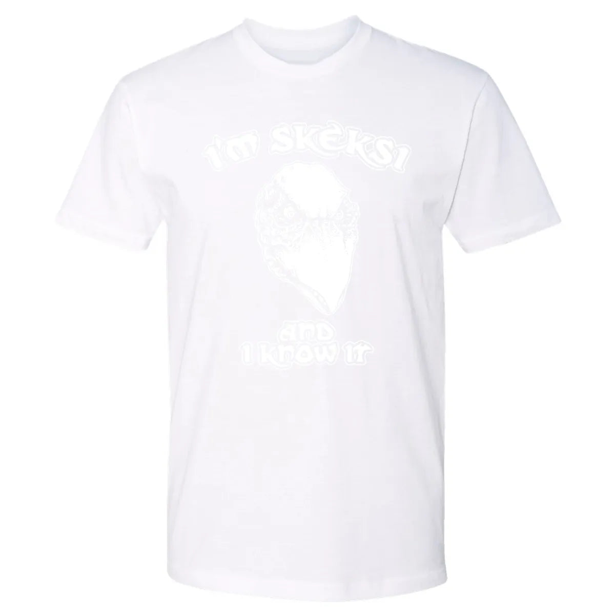 Premium Unisex T-shirt - AFEEQHAM