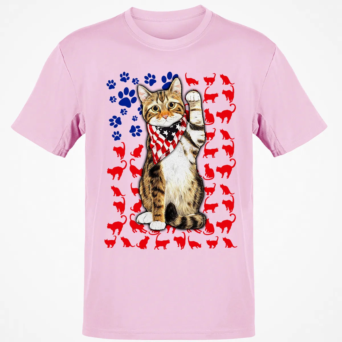 Classic Unisex T-Shirt - PZPVJU42