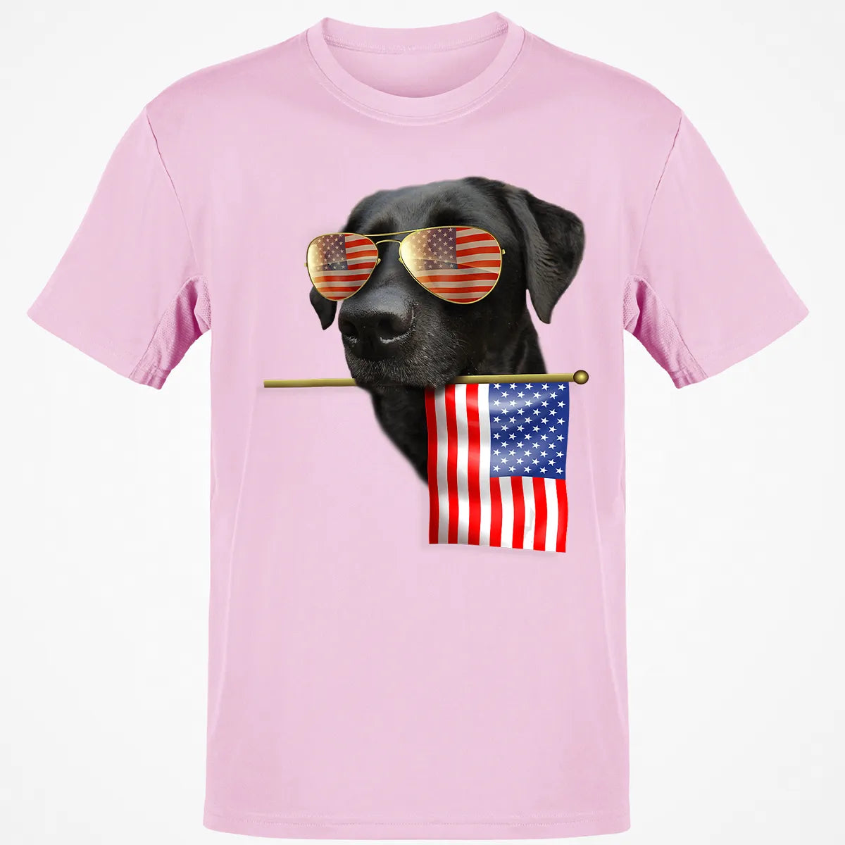 Classic Unisex T-Shirt - Z8V8J6AM
