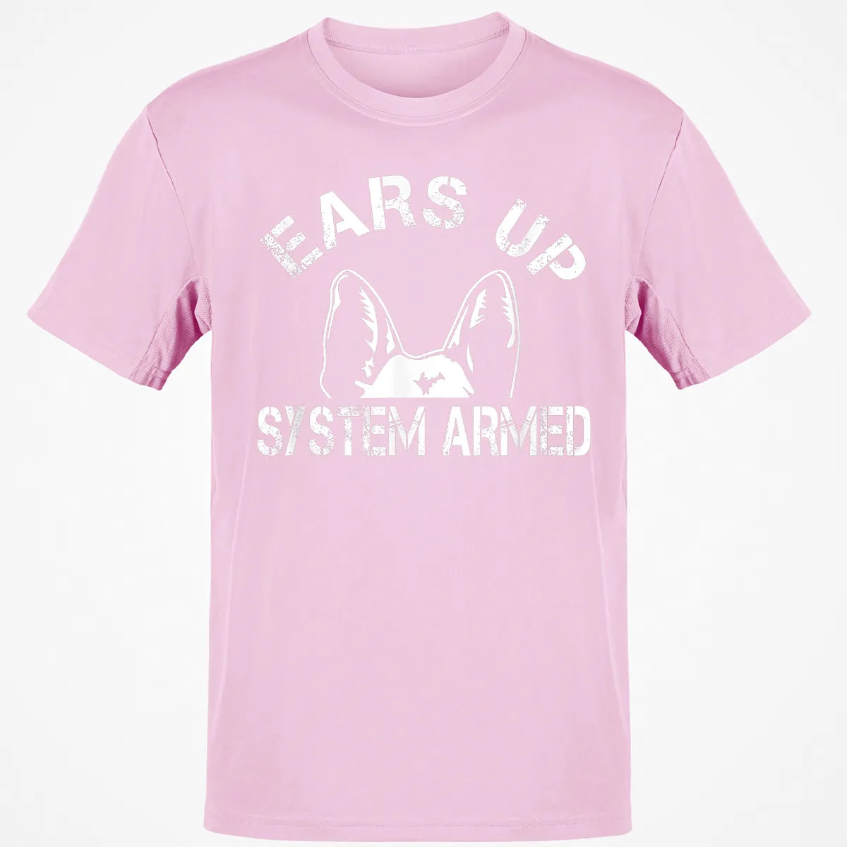 Classic Unisex T-Shirt - 23EY434C