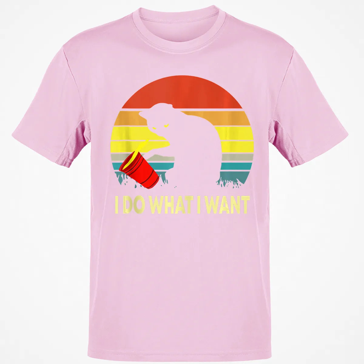 Classic Unisex T-Shirt - 6ZB8EUPZ