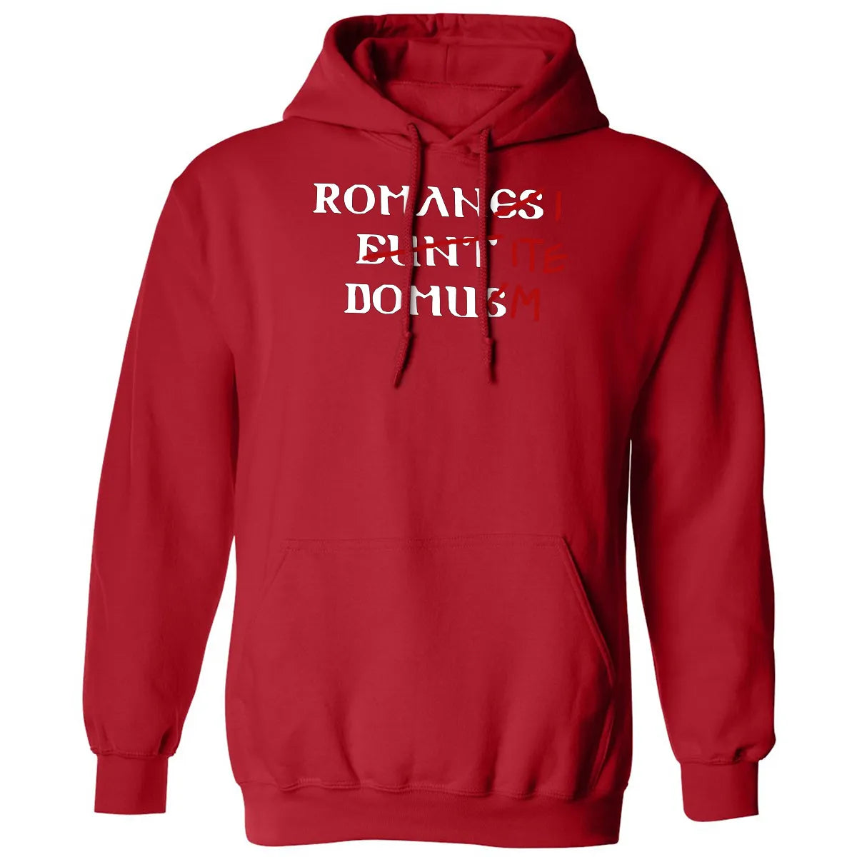 Classic Unisex Hoodie - 4AY3UDAR