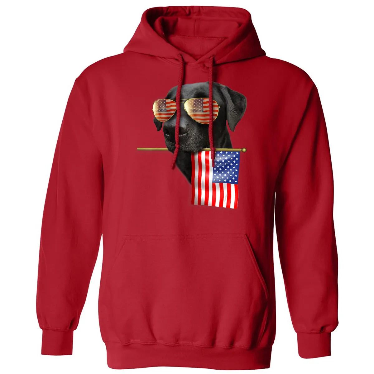 Classic Unisex Hoodie - P54WA7RR