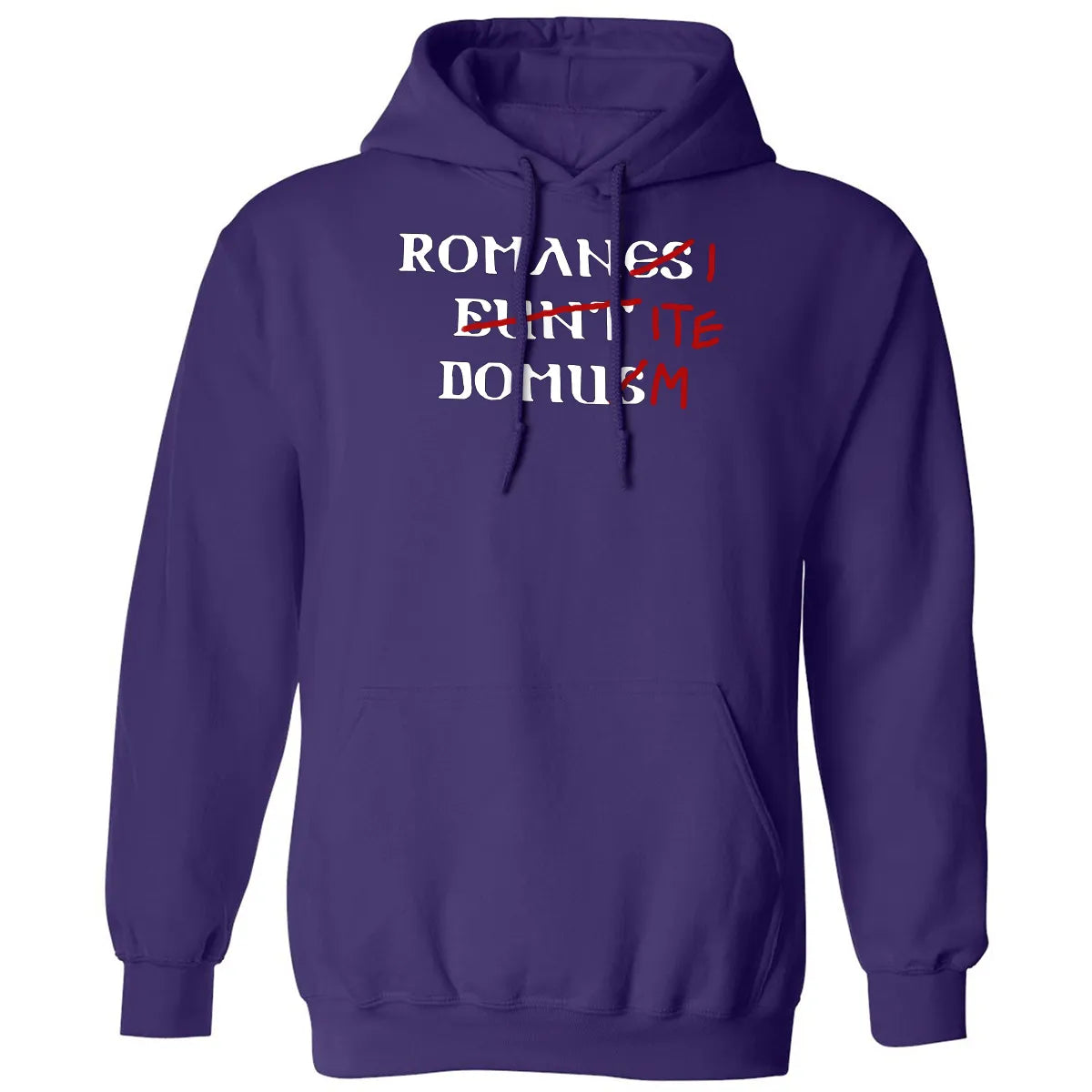 Classic Unisex Hoodie - 4AY3UDAR