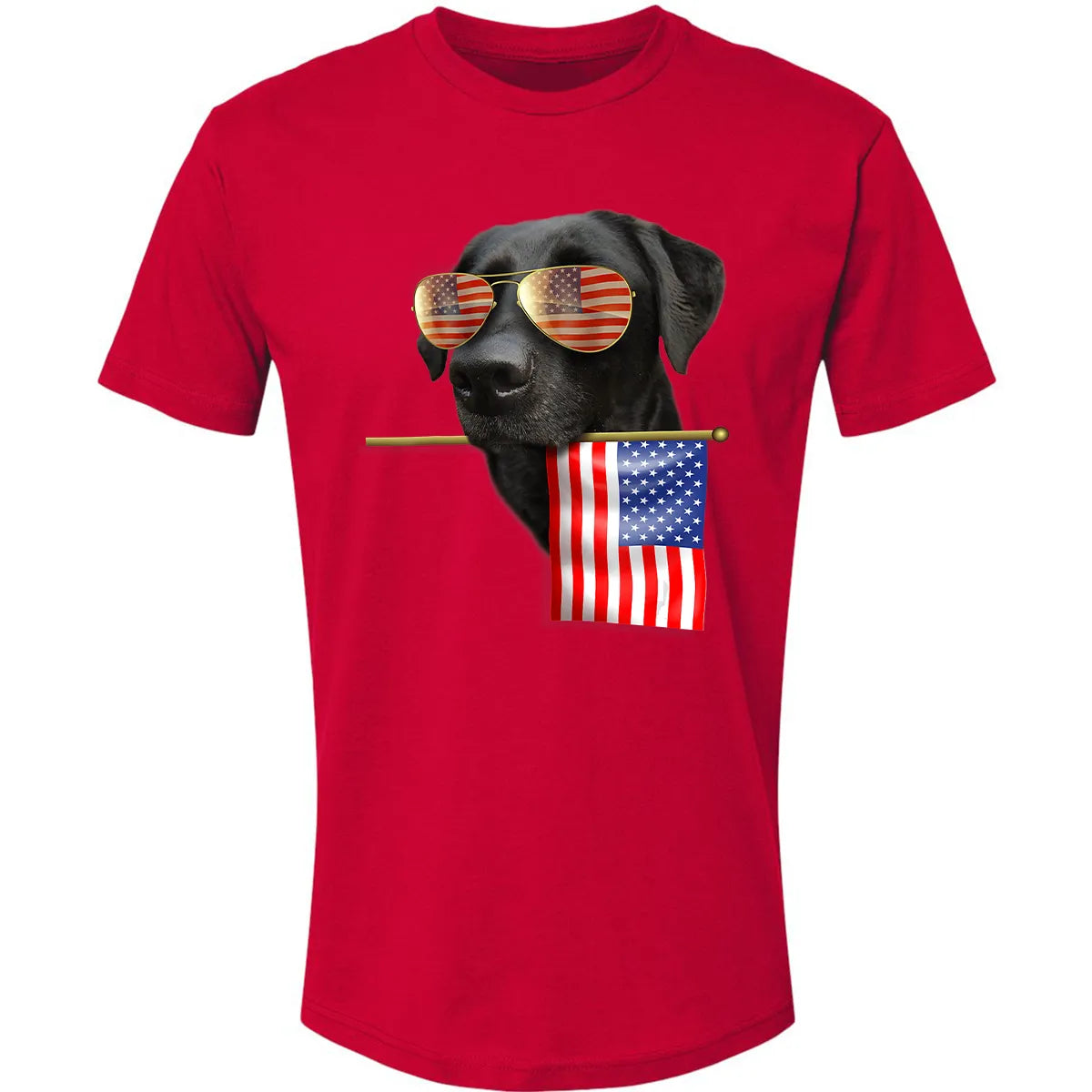 Premium Unisex T-shirt - LM9ZR4N8