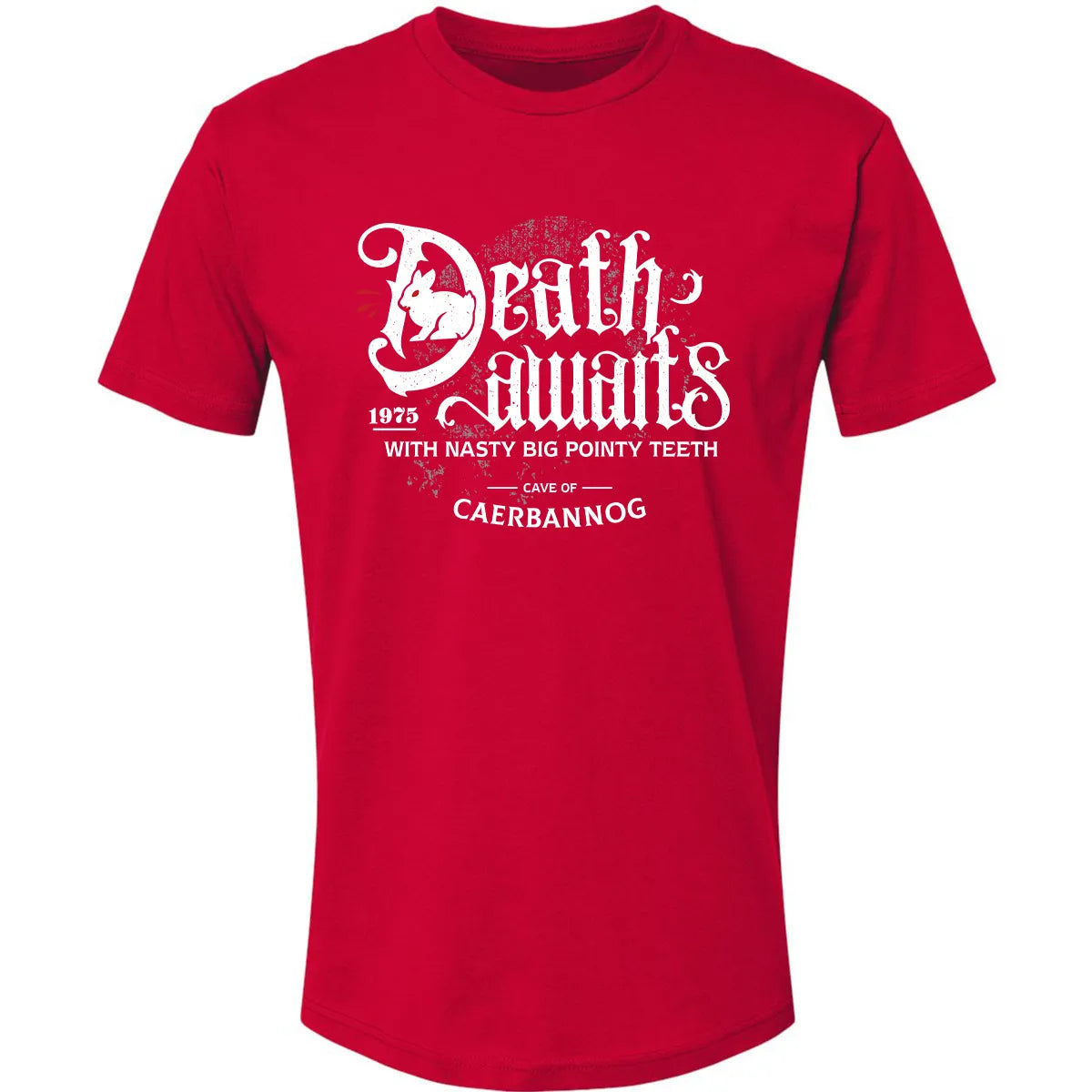 Premium Unisex T-shirt - FW89ZP48