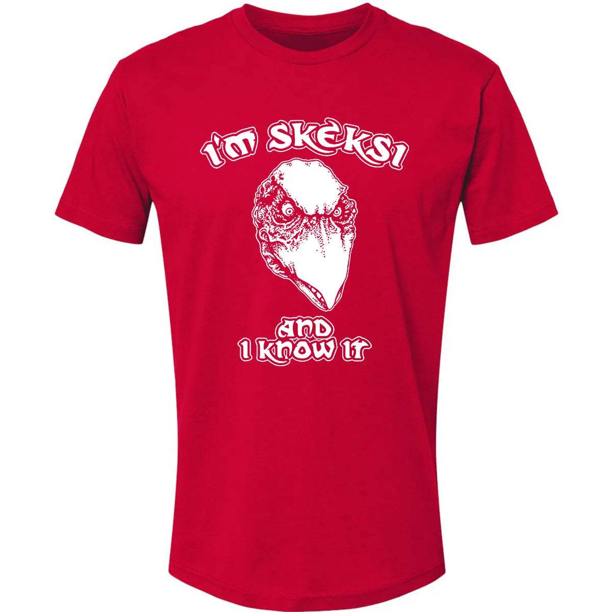 Premium Unisex T-shirt - AFEEQHAM