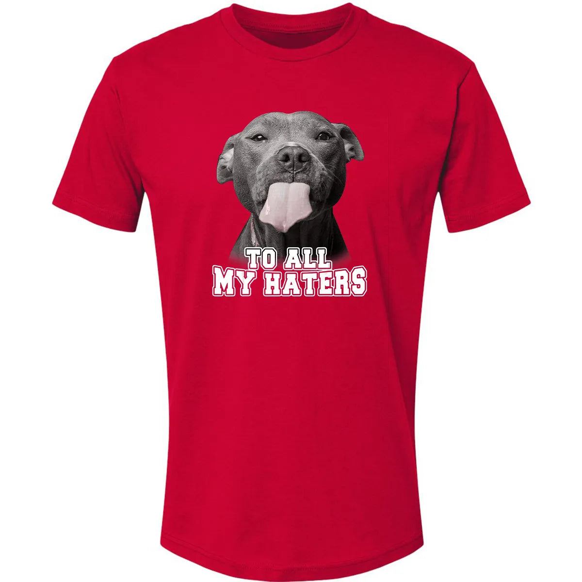 Premium Unisex T-shirt - HXXJADAJ