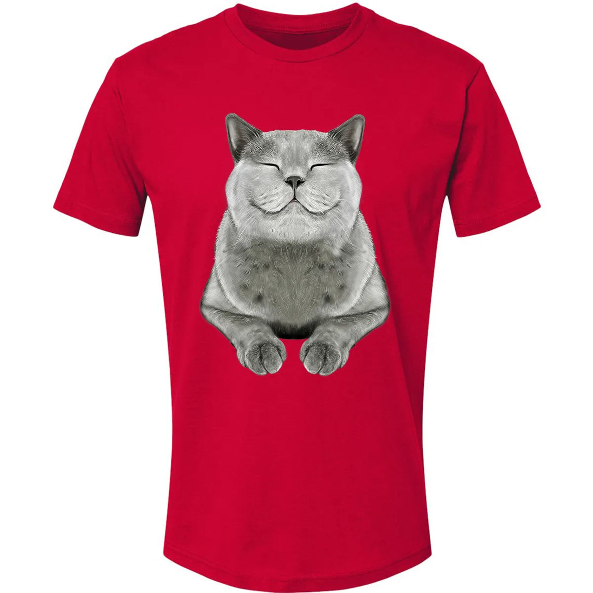 Premium Unisex T-shirt - JMHEX58Z