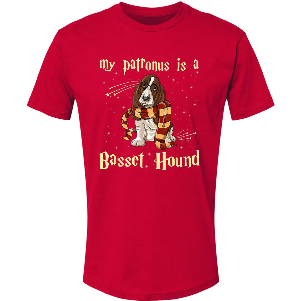 Premium Unisex T-shirt - 6F1J6RFE