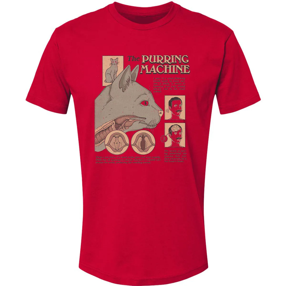Premium Unisex T-shirt - 1AG254YF