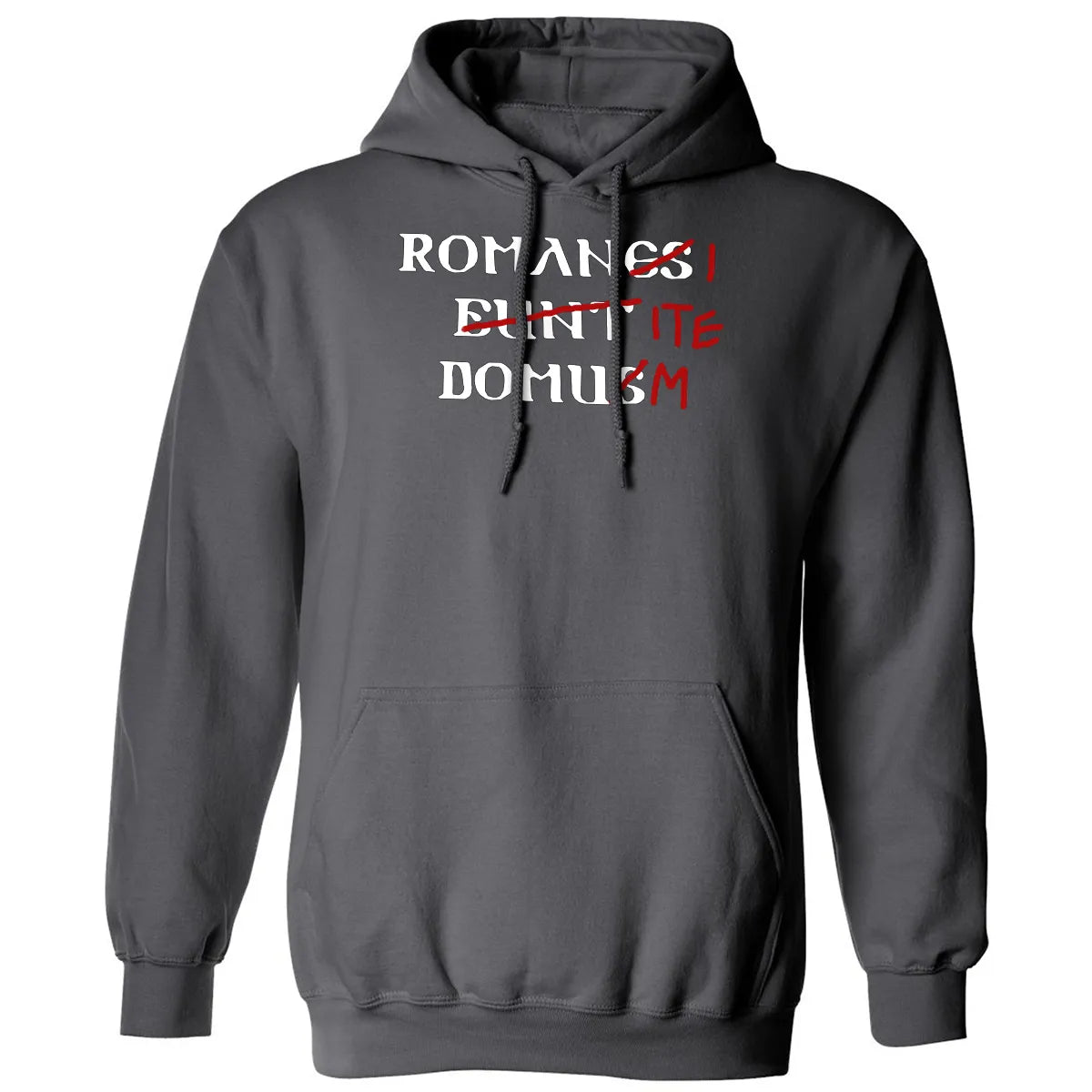 Classic Unisex Hoodie - 4AY3UDAR