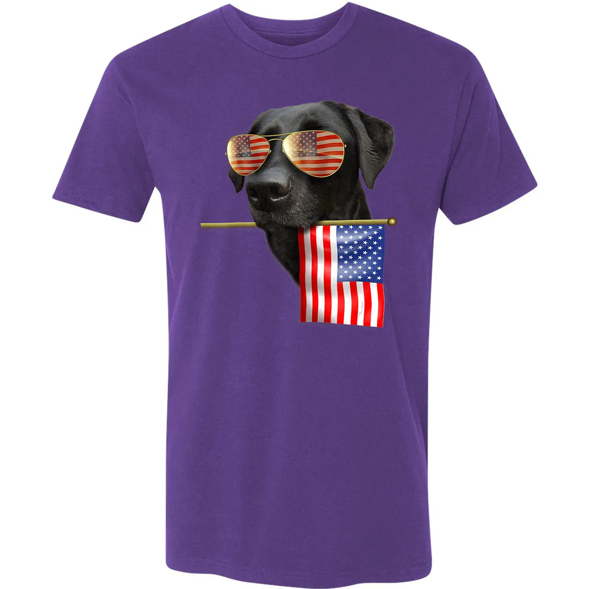 Premium Unisex T-shirt - LM9ZR4N8
