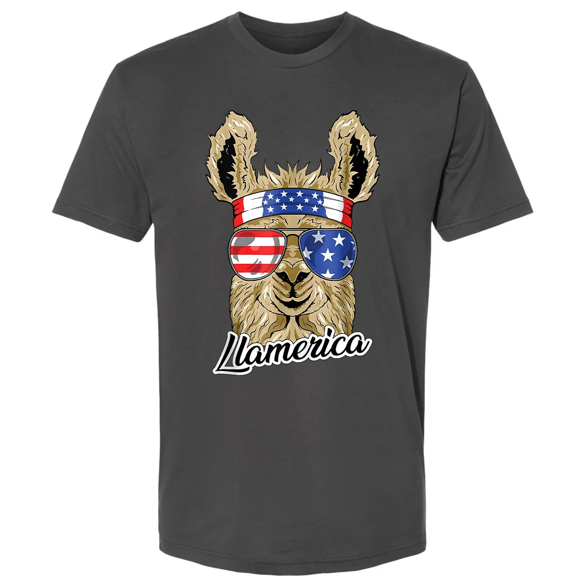 Premium Unisex T-shirt - FMNKY2SW