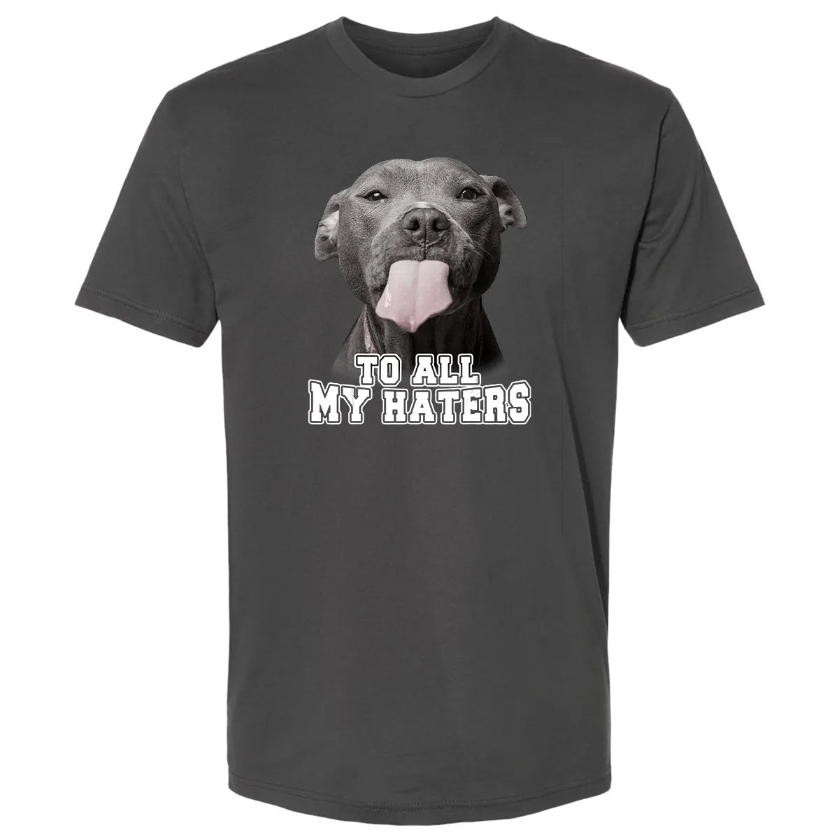 Premium Unisex T-shirt - HXXJADAJ