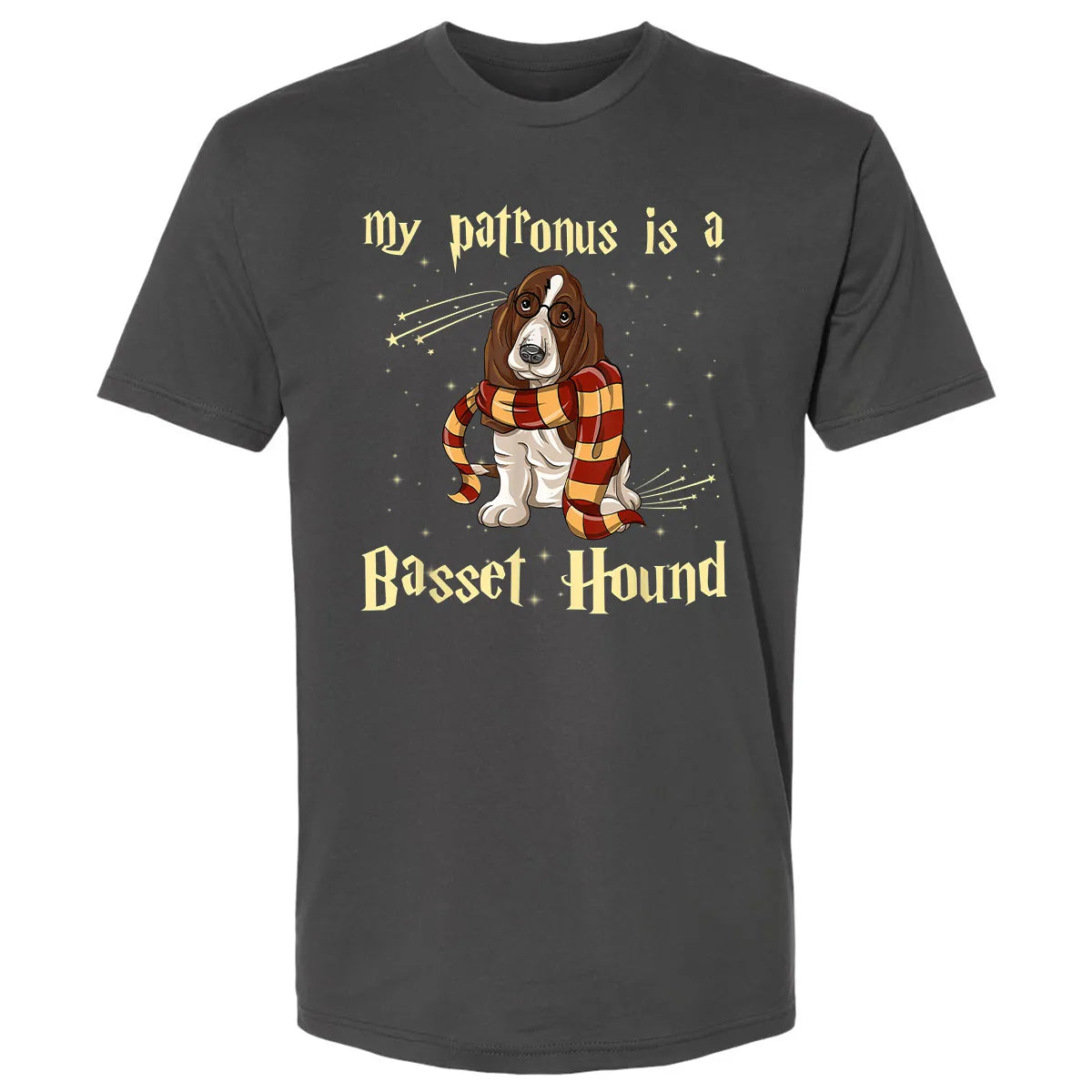 Premium Unisex T-shirt - 6F1J6RFE