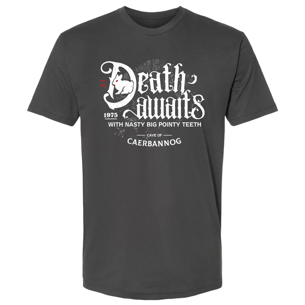 Premium Unisex T-shirt - FW89ZP48