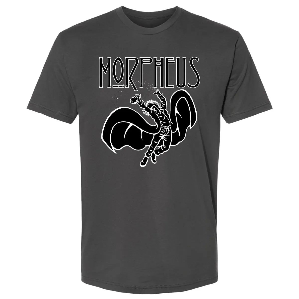 Premium Unisex T-shirt - 6QRF22G5