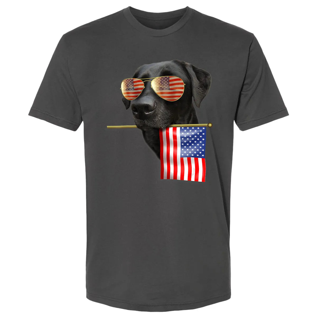 Premium Unisex T-shirt - LM9ZR4N8