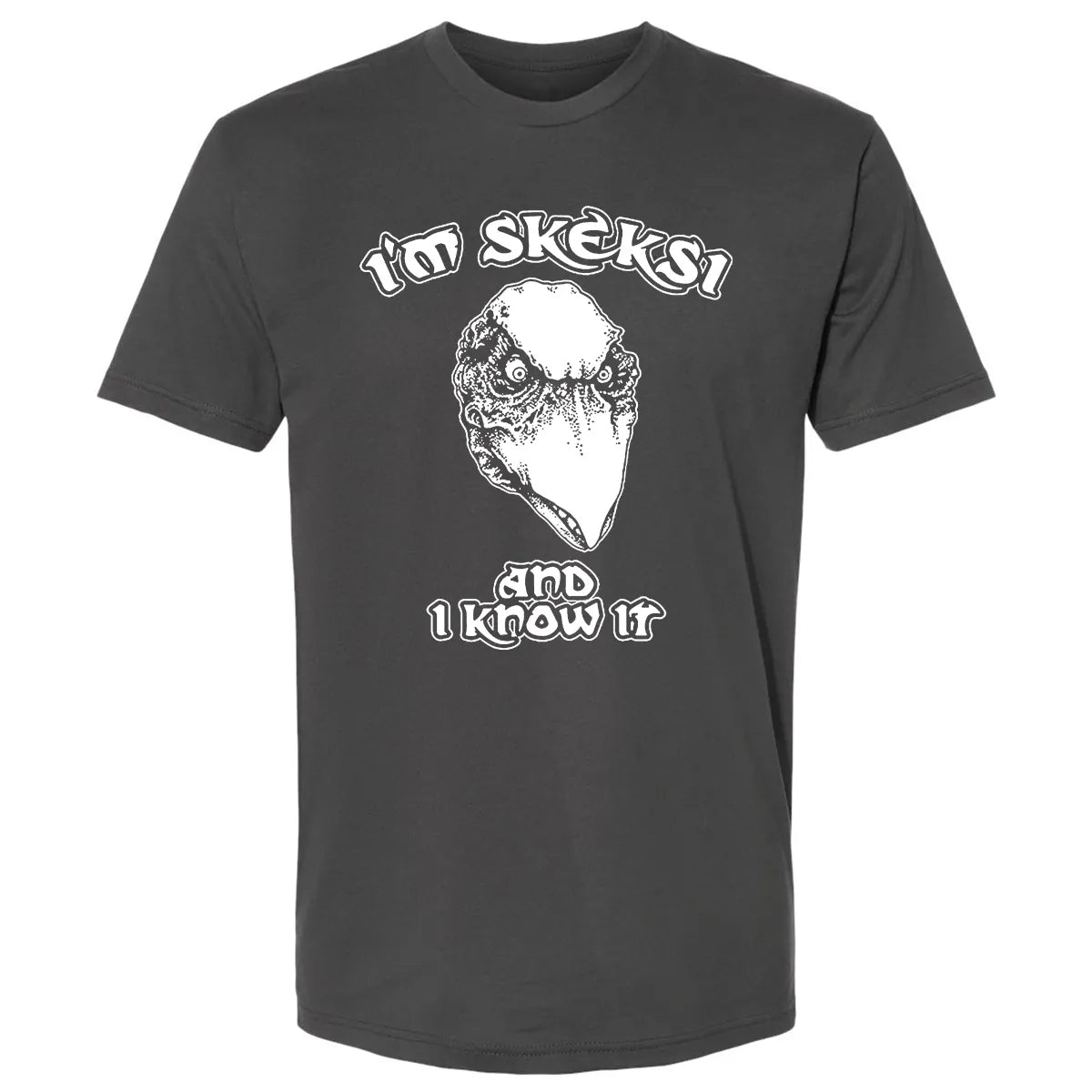 Premium Unisex T-shirt - AFEEQHAM