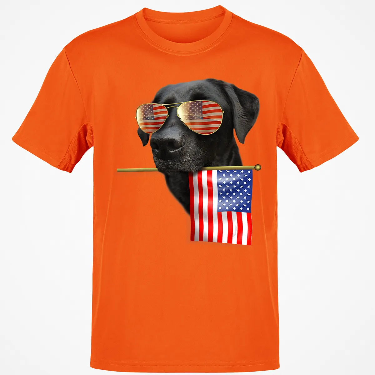 Classic Unisex T-Shirt - Z8V8J6AM