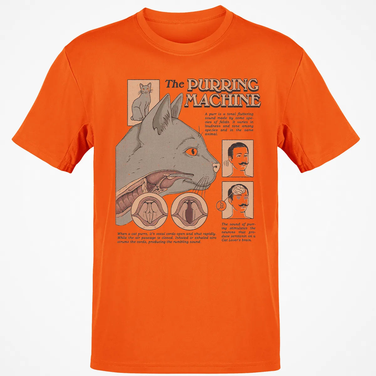 Classic Unisex T-Shirt - A5BKM2AQ