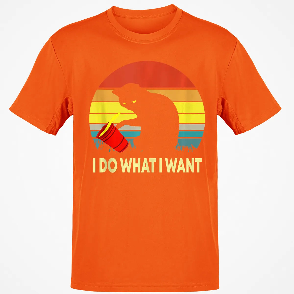 Classic Unisex T-Shirt - 6ZB8EUPZ
