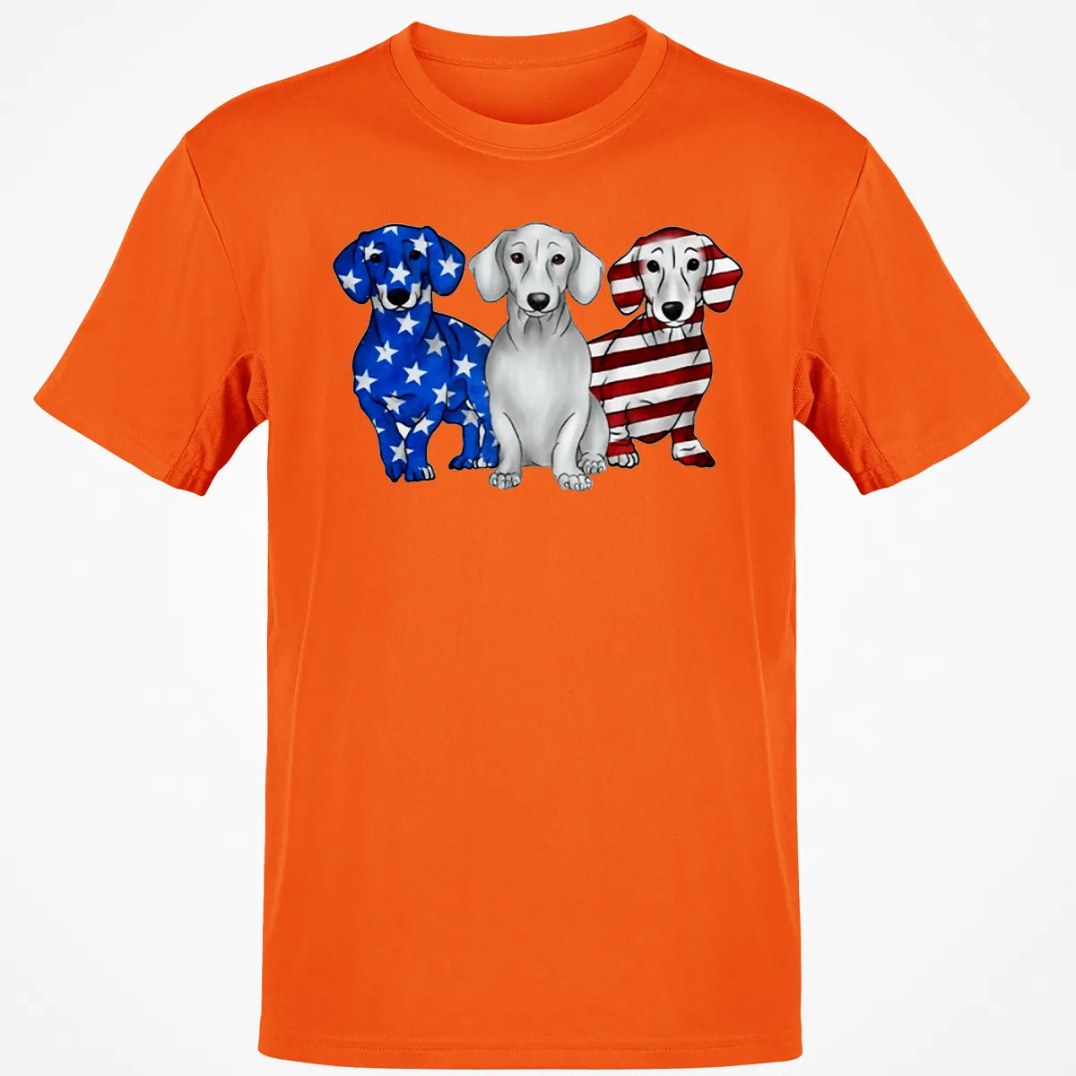 Classic Unisex T-Shirt - HTLZZM1J