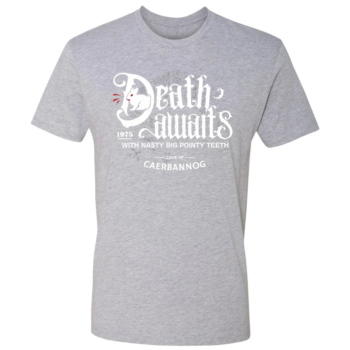 Premium Unisex T-shirt - FW89ZP48