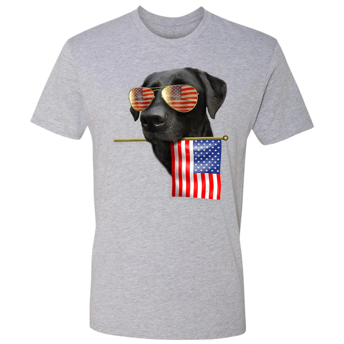 Premium Unisex T-shirt - LM9ZR4N8