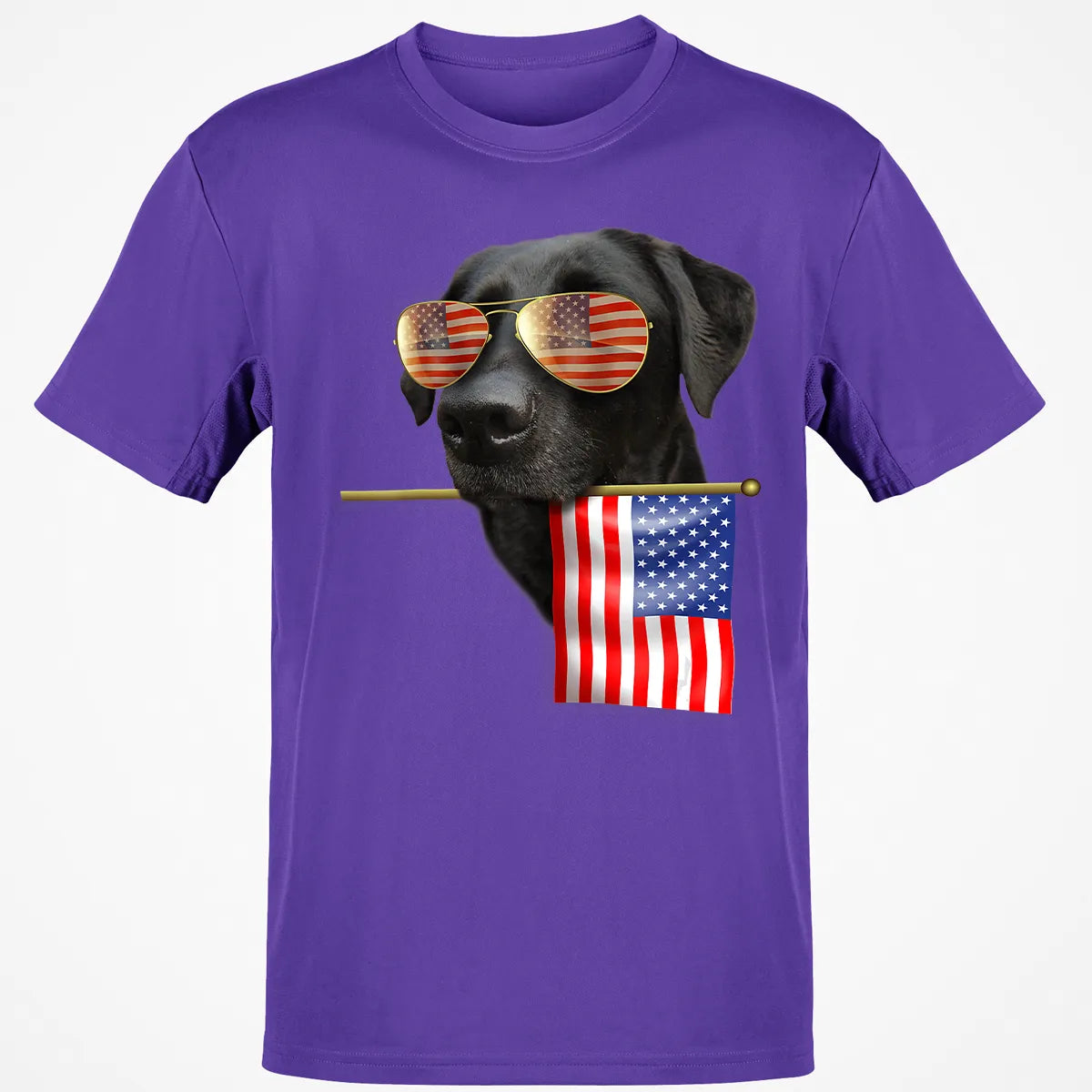 Classic Unisex T-Shirt - Z8V8J6AM