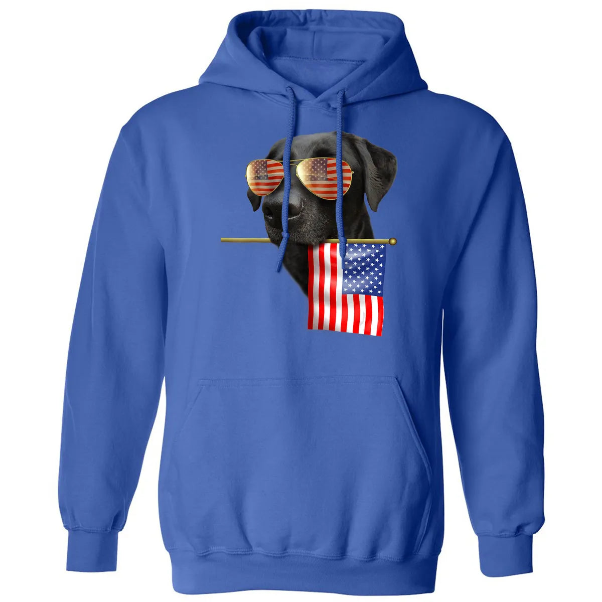 Classic Unisex Hoodie - P54WA7RR